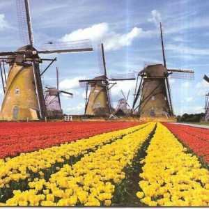 Țara Olanda: orașe, cele mai mari orașe