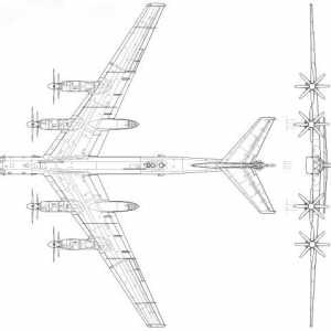 Strategic bombardier TU-95: caracteristici și fotografii