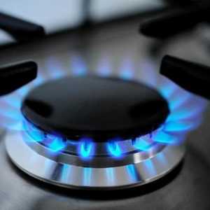 Subvenții pentru gaz: reguli pentru înregistrare și utilizare. Cum să utilizați în mod adecvat o…