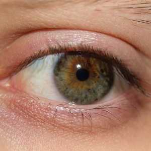 Ochii uscați: cauze și remedii folclorice și picături