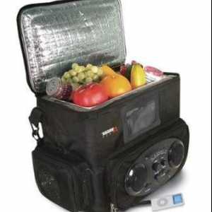Bag-frigider cu energie de la bricheta - un insotitor indispensabil in calatorie