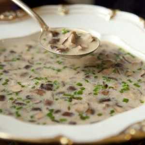 Supă de chanterelle: rețetă rapidă, gustoasă și simplă