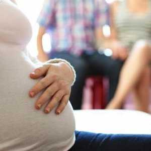 Maternitatea surrogată. Probleme de maternitate surogat