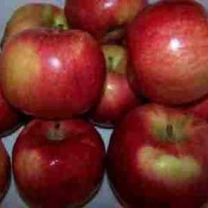 Uscarea merelor într-un cuptor cu microunde timp de 5 minute