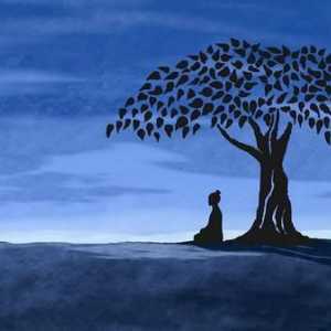 Pomul sacru al lui Bodhi. Arborele Bodhi: descriere, istorie și fapte interesante