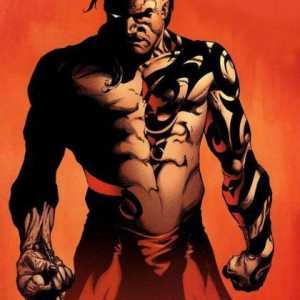 Fiul lui Wolverine Daken (`Marvel`)