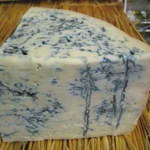Brânză Gorgonzola: subtilități ale tehnologiei de producție, caracteristici ale aromelor,…