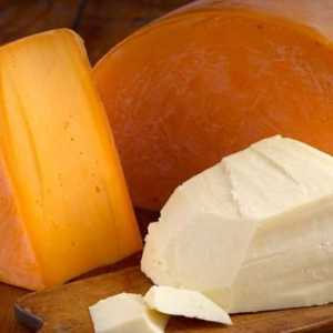 Brânzeturi din Finlanda: tipuri, nume de branduri cele mai bune