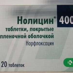 Tabletele `Nolitsin`: recenzii pentru cistita, instrucțiuni de utilizare,…