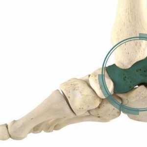Traumatologia piciorului: anatomie și traumă