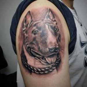Bull Terrier tatuaj. Ce spune această imagine?
