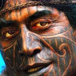 Tatuajul "Maori": semnificația tribului, modul în care au fost aplicate, modul în care…