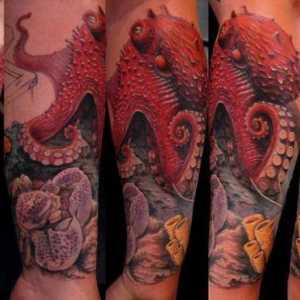 Tatuajele "Octopus": Semnificație, legende și mituri, Selecția schițelor