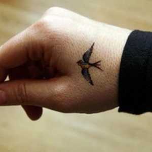 Tattoo `Bird` - frumusete pe corp