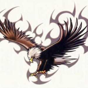 Tatuajul "vulturul" - un simbol al libertății și curajului