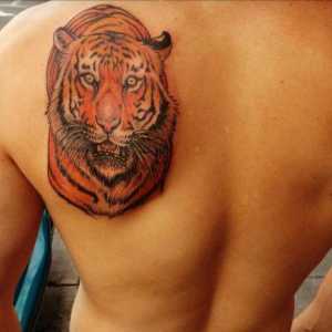 Tigrii tatuaje: credințe vechi și schițe moderne