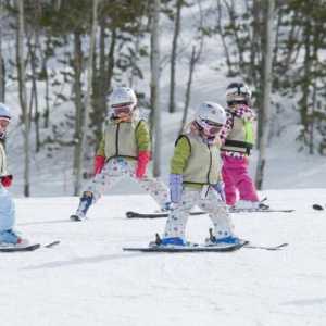 Siguranța în lecțiile de schi. Organizarea de lecții de schi la școală