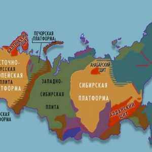 Structura tectonică a Câmpiei Siberiei de Vest. Placă din Siberia de Vest