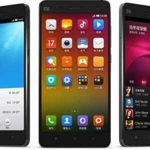 Telefonul Xiaomi: autentificare și nuanțe de bază