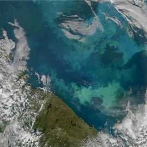 Temperatura și salinitatea Mării Barents. Care este salinitatea Mării Barents în ppm