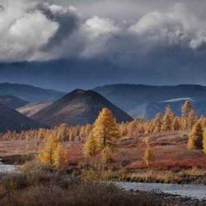 Teritoriu și suprafața totală a regiunii Tyumen: descriere și fapte interesante