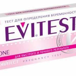Teste pentru ovulație și sarcină `Evistist`: opinii, descrierea, preturi,…