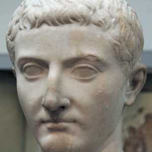 Tiberius Gracchus - politician antic roman