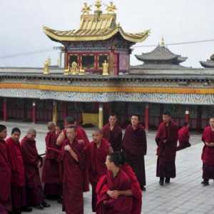 Gimnastica hormonală tibetană: recenzii și discuții