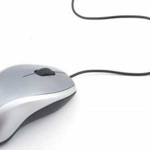 Тихая мышь для компьютера: отзывы о лучших моделях