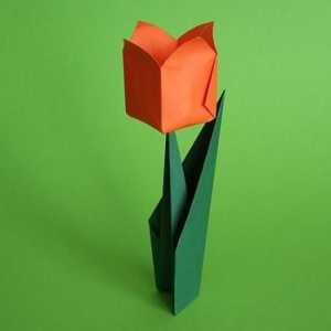 Lalelele Origami: frumoase și elegante