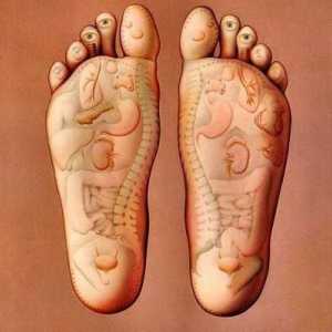 Punctele de pe picior care sunt responsabile pentru organe. Punctele de acupunctură pe picior