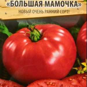 Tomato "mumia mare": răspunsuri, o fotografie, caracteristică, productivitate