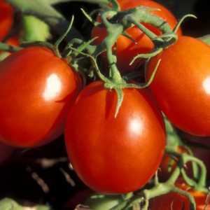 Tomato De Barao: descriere, cultivare și randament