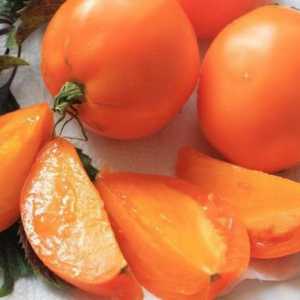 Tomato `southern tan` este lider printre galben