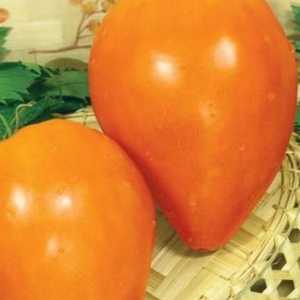 Tomato `inima portocalie`: caracteristici, descrierea soiurilor și recenzii