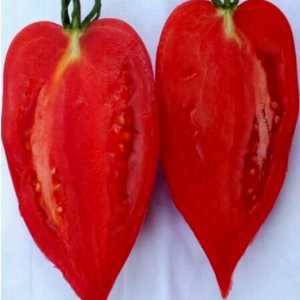 Ardei roșu: descrierea, caracteristicile și randamentul soiului