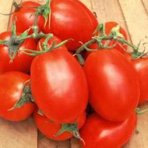 Tomato Roma: caracteristicile și descrierea soiului