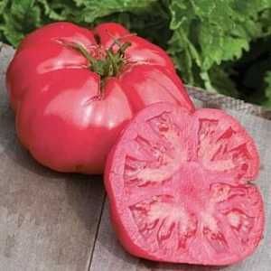 Tomat "roz": descrierea soiului, particularitățile cultivării