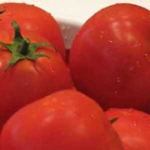 Tomato `sanka`: recenzii, caracteristici și sfaturi