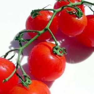 Tomato Valentine, descriere. Cultivarea răsadurilor, recenzii
