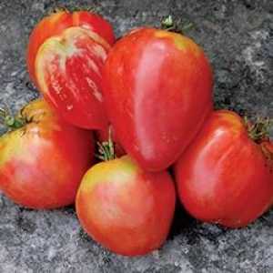 "Inima bebelusului de tomate" - un tratament printre legume