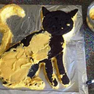Cake `Cat`: frumos și gustos