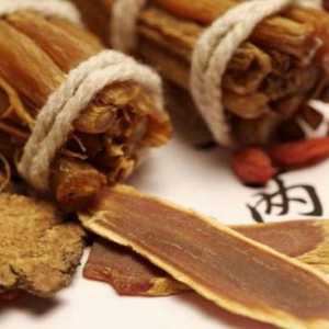 Medicina tradițională chineză în China