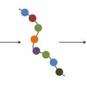 Transmiterea în biologie este o sinteză progresivă de proteine