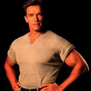 Formarea lui Arnold Schwarzenegger. Filozofia succesului