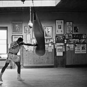 Instruirea boxerilor. Forță boxer de antrenament