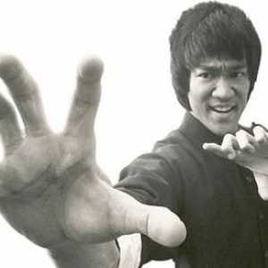 Antrenamentul lui Bruce Lee: o cale nesfârșită spre perfecțiunea corpului și spiritului