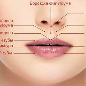 Fisuri în colțurile buzelor: cauze și tratament