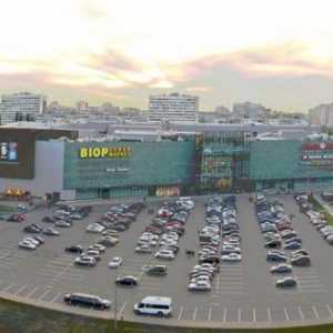 TRK `Arena` (Voronej) ca o componentă socială a orașului