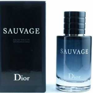 Apă de toaletă Dior Sauvage: recenzii, piramida, preț